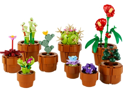 Plantute in ghiveci