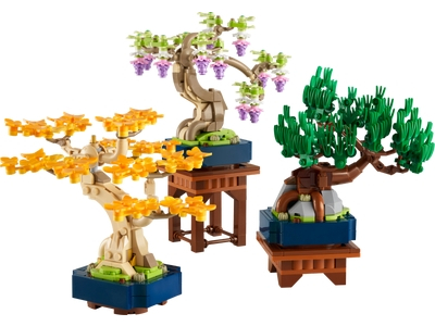 Arbori bonsai