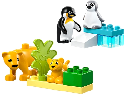 Familii de animale salbatice: Pinguini si lei