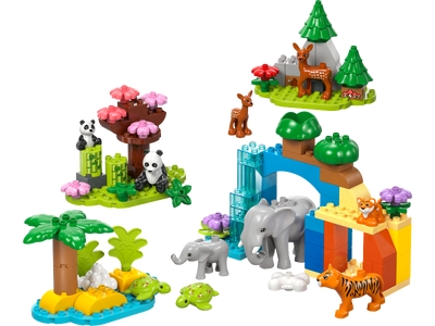 Familii de animale salbatice 3 în 1