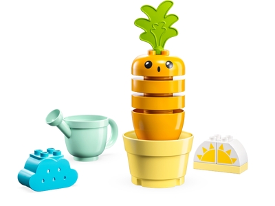 Kit de cultivare al morcovului