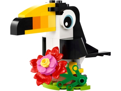 Tucan tropical