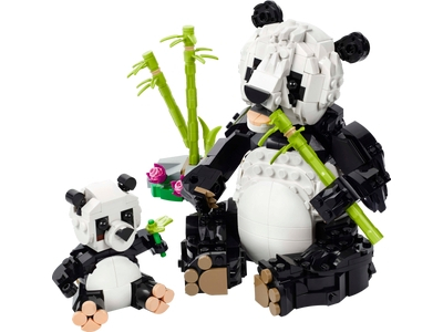 Animale salbatice: Familia de ursi panda