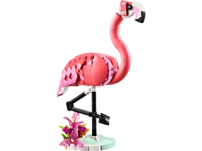 Animale salbatice: Flamingo roz